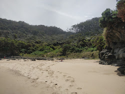 Zdjęcie Shelly Beach, Apollo położony w naturalnym obszarze