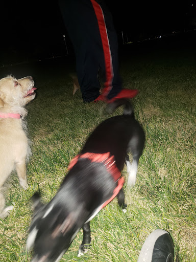 Park «Mountain Crest Park», reviews and photos, 4701 N Durango Dr, Las Vegas, NV 89129, USA