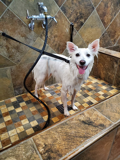 Pet Supply Store «Pet Valu», reviews and photos, 150 Main St, Lodi, NJ 07644, USA