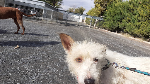 Centro Canino de Tudela - Tudela