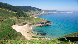 San Miro Beach'in fotoğrafı vahşi alan