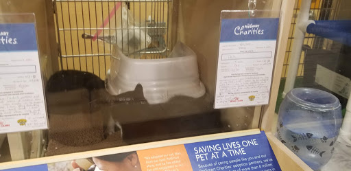Pet Supply Store «PetSmart», reviews and photos, 3 McKenna Rd, Arden, NC 28704, USA