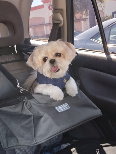 Pet Supply Store «PetSmart», reviews and photos, 11945 Central Ave, Chino, CA 91710, USA