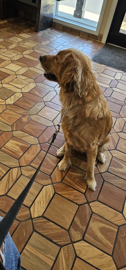 South Heritage Animal Hospital