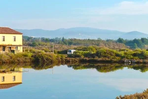 Les Salins D'Hyères (Nature Discovery Space) image