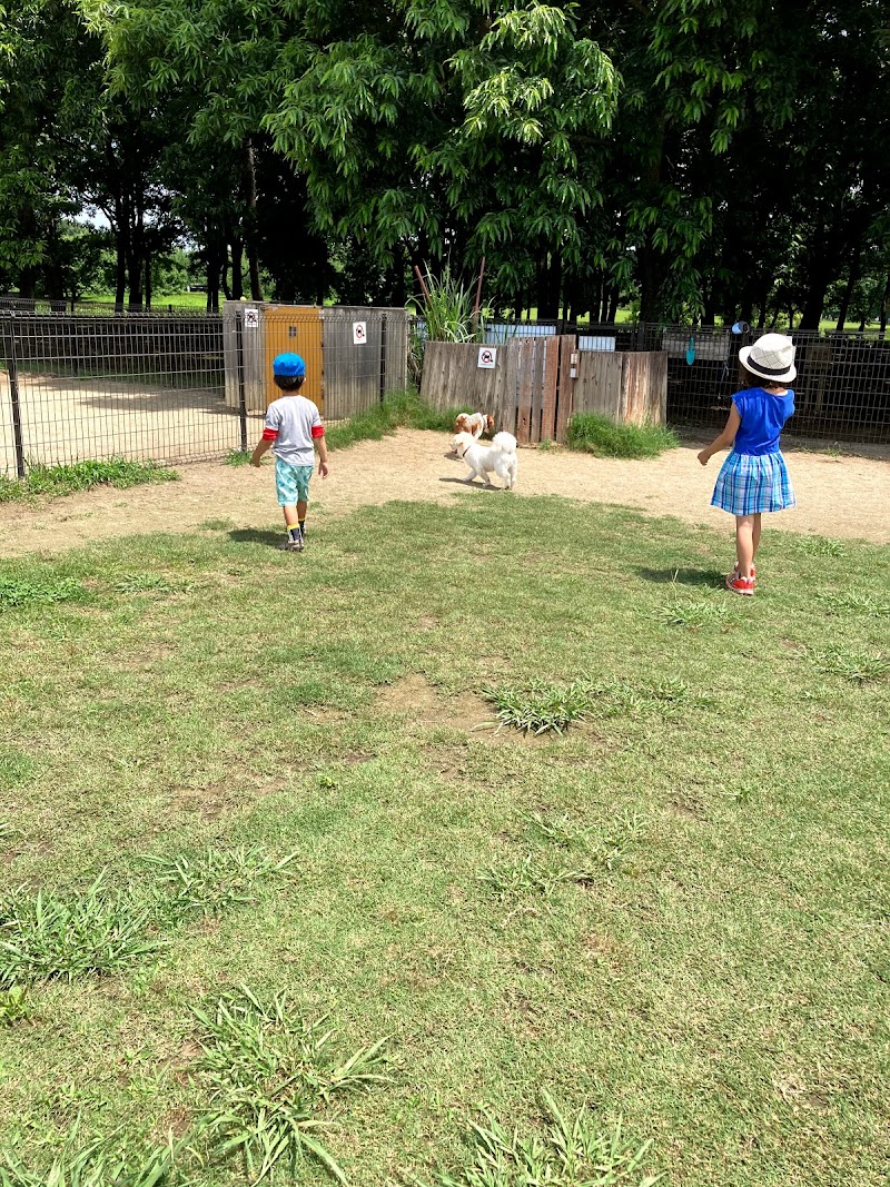 カミケンシルクドーム 本庄総合公園体育館 シルクドーム 埼玉県本庄市北堀 体操競技場 スポーツジム グルコミ