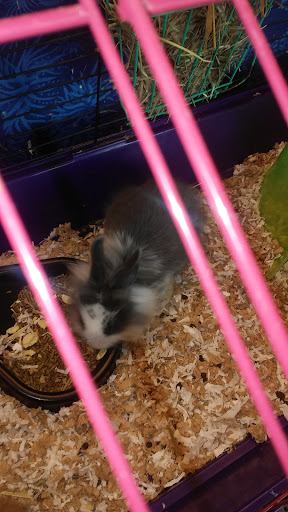 Pet Supply Store «Pet Partners», reviews and photos, 1962 W State St, Bristol, TN 37620, USA