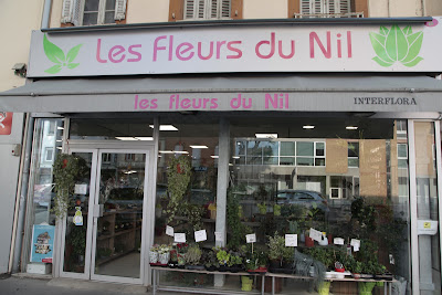 LES FLEURS DU NIL à Toulouse