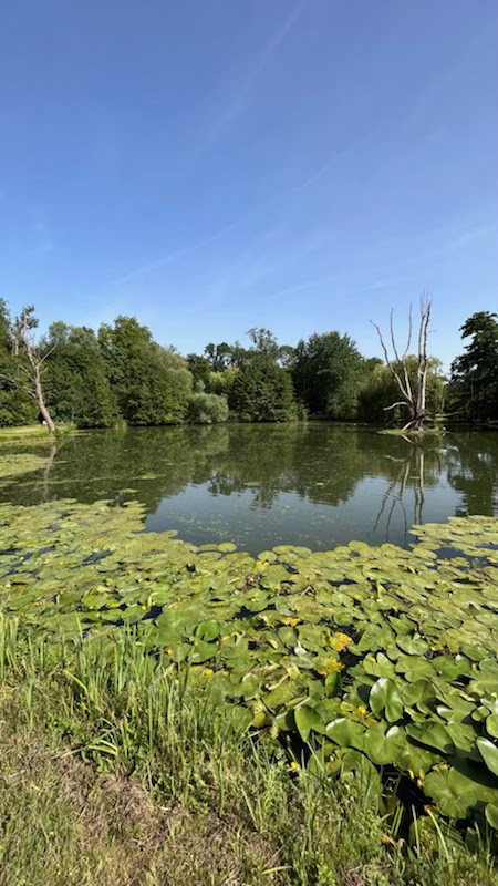 Photo n° 8 de l'avis de Frédéric.c fait le 18/06/2022 à 19:10