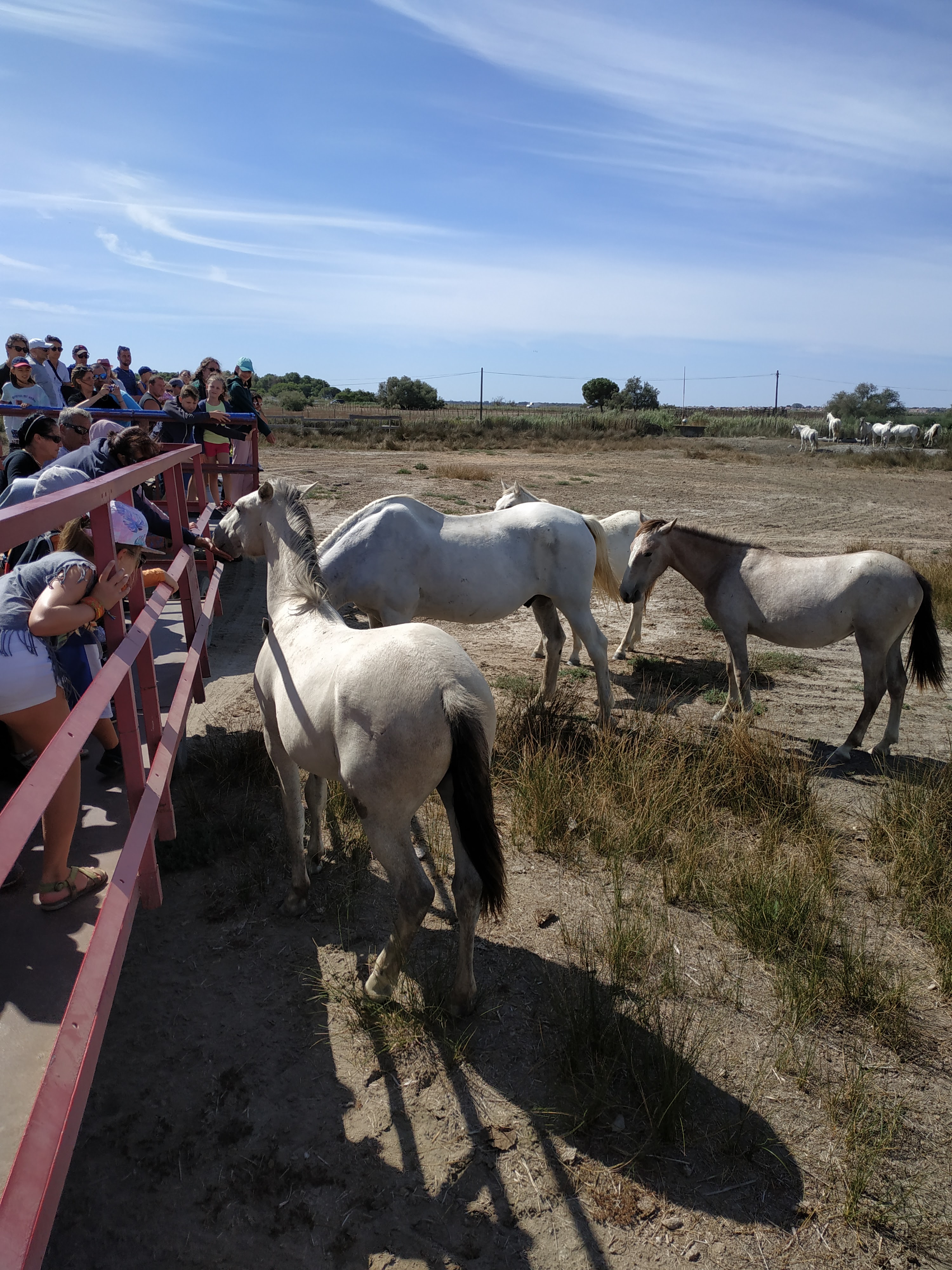 Photo n° 4 de l'avis de Dav.2 fait le 21/08/2019 à 12:06