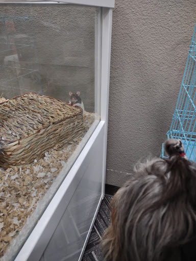 Pet Store «Paws Natural Pet Emporium», reviews and photos, 8551 W Gage Blvd, Kennewick, WA 99336, USA