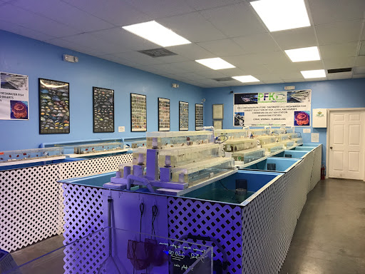 Pet Supply Store «Professional Fish Keepers Aquarium Store», reviews and photos, 7573 W Sample Rd, Coral Springs, FL 33065, USA