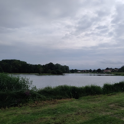 Etang de Sezeaux à Lurcy-Lévis