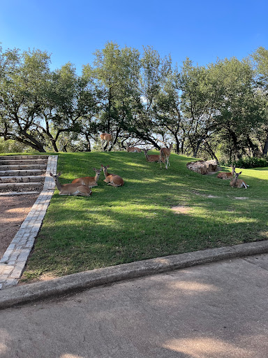 Golf Club «Forest Creek Golf Club», reviews and photos, 99 Twin Ridge Pkwy, Round Rock, TX 78664, USA