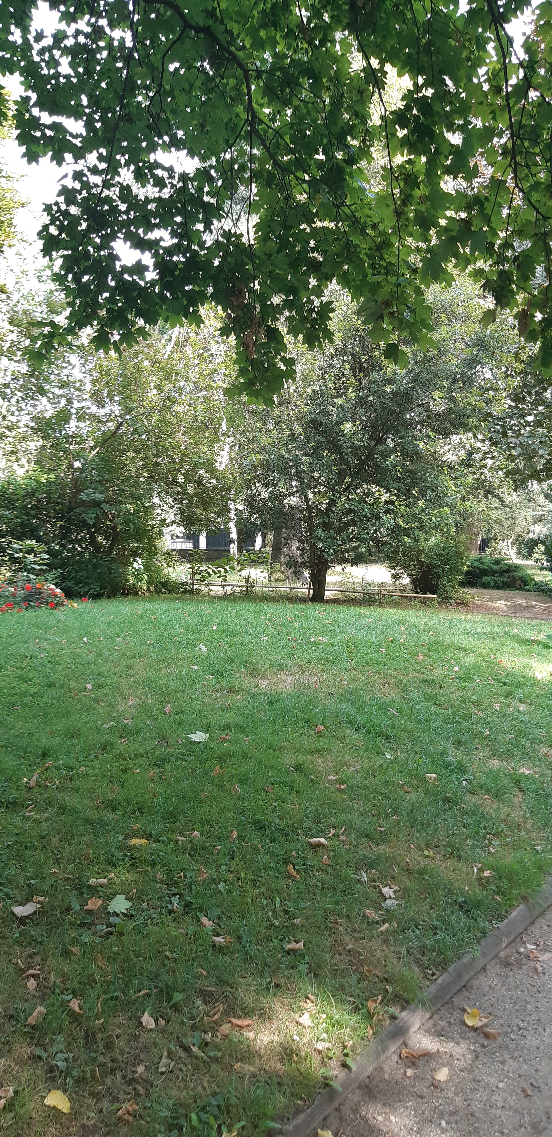Photo n° 10 de l'avis de Jo. fait le 16/07/2019 à 21:14
