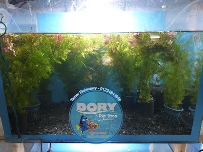 Dory pet shop