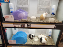 Petco - Photo 3 - Car repair in Lewisville, TX, Irving