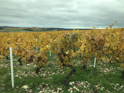Samuel Billaud à Chablis