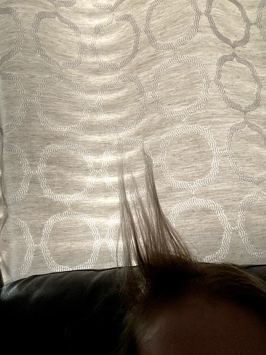 Hair Salon «Vidogi Salon & Boutique», reviews and photos, 4222 N Marshall Way, Scottsdale, AZ 85251, USA