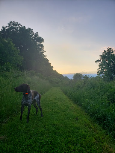 Nature Preserve «Shannondale Springs Wildlife Management Area», reviews and photos, Co Rte 9/5, Harpers Ferry, WV 25425, USA