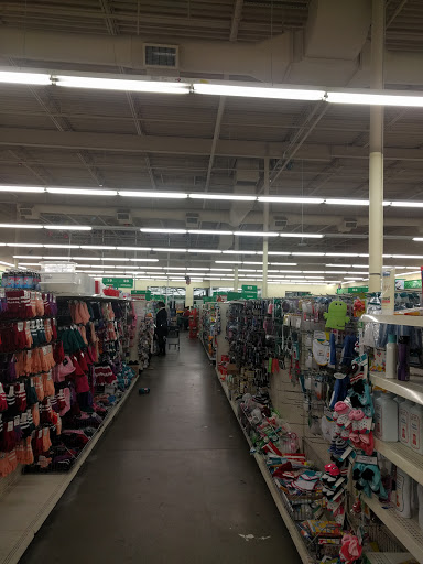 Dollar Store «Dollar Tree», reviews and photos, 950 American Legion Hwy, Boston, MA 02131, USA