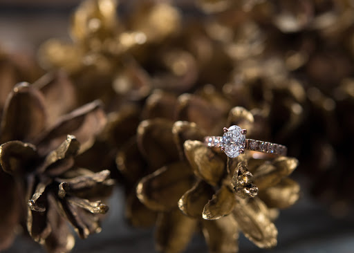 Jeweler «Cozzi Jewelers», reviews and photos, 4819 West Chester Pike, Newtown Square, PA 19073, USA