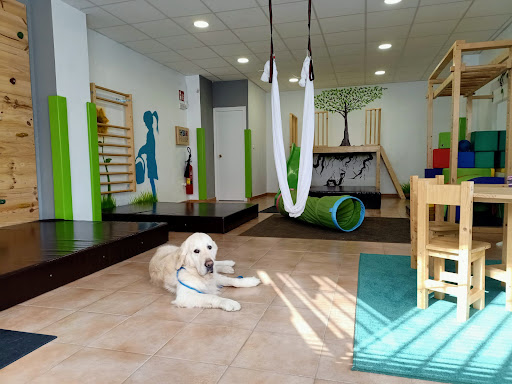 PSICORP | Psicología Infantil en Zaragoza y Terapia Corporal en Zaragoza, Zaragoza