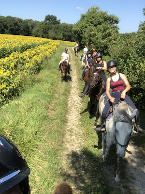 Earl Les Ecuries Du Seillery à La Clisse
