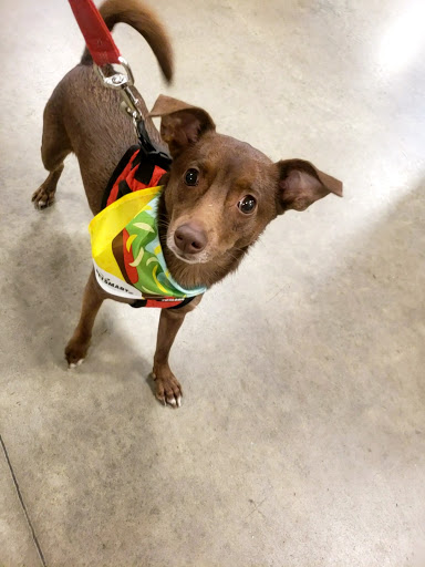 Pet Supply Store «PetSmart», reviews and photos, 3610 Rosecrans St, San Diego, CA 92110, USA