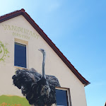 Photo n°1 de l'avis de Wollfried.e fait le 02/08/2022 à 13:04 sur le  Straussenfarm Burkhardt à Schmölln