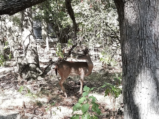 Nature Preserve «Stillhouse Hollow Nature Preserve», reviews and photos, 7810 Sterling Dr, Austin, TX 78759, USA