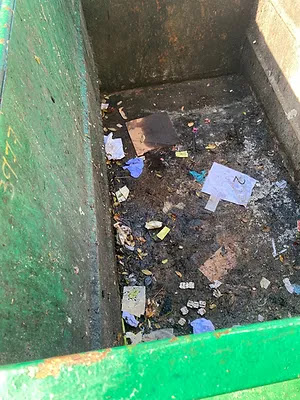 WASH BINS image
