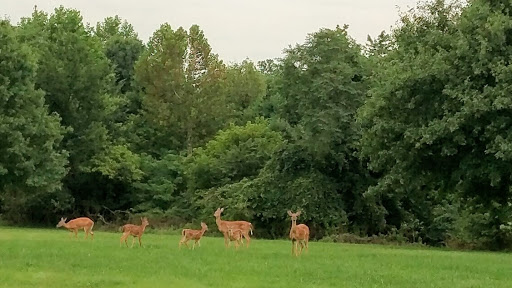 Public Golf Course «Calvert Road Park Disc Golf», reviews and photos, Campus Drive, College Park, MD 20740, USA