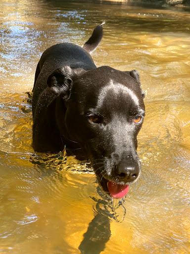 Ice Skating Rink «Pavilion Recreation Complex», reviews and photos, 400 Scottswood Rd, Taylors, SC 29687, USA