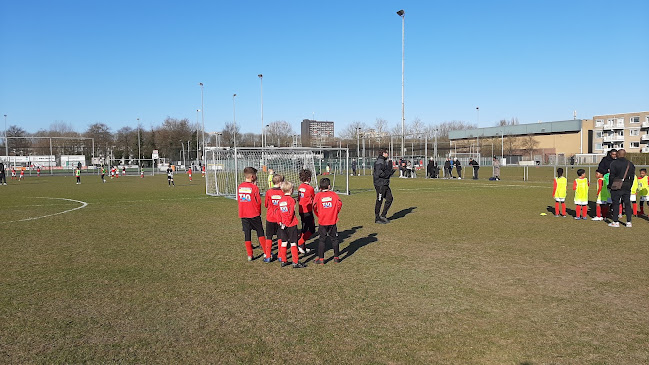 Sportvereniging Alexandria '66