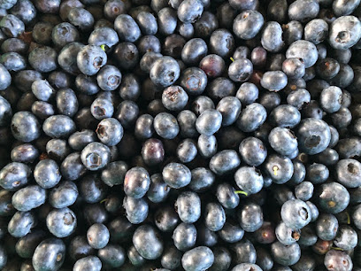 Jack's Blueberry Farm 13560