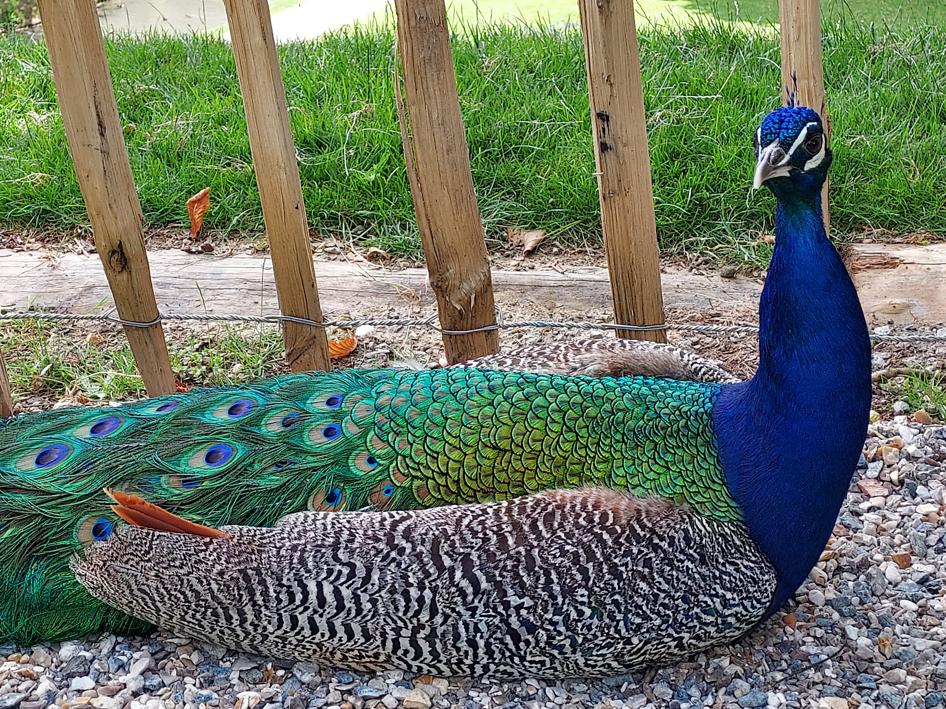 Photo n° 4 de l'avis de Marie-Claire.o fait le 03/07/2023 à 19:37