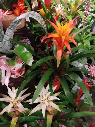 Grocery Store «Safeway», reviews and photos, 5035 W Baseline Rd, Laveen Village, AZ 85339, USA