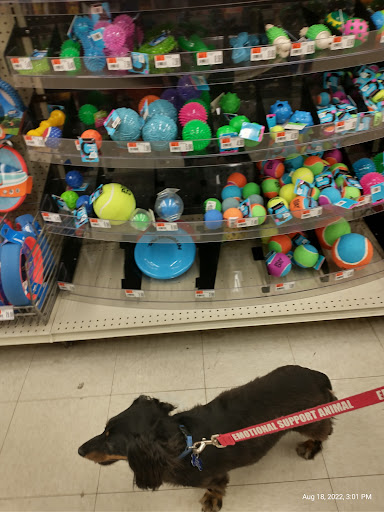 Pet Supply Store «Pet Supplies Plus», reviews and photos, 7315 Mentor Ave, Mentor, OH 44060, USA
