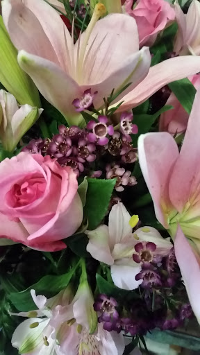 Florist «Neilsen Florists», reviews and photos, 309 S Cloverdale St C7, Seattle, WA 98108, USA