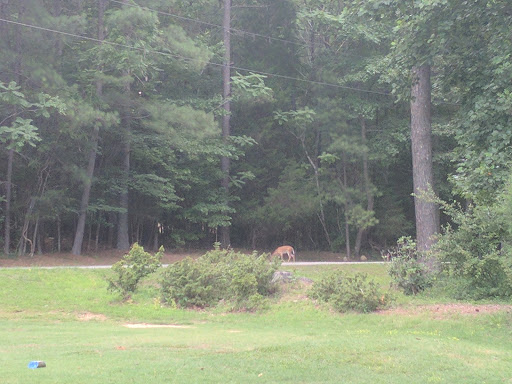 Golf Course «Twin Lakes Golf Course», reviews and photos, 648 Willow Way, Chapel Hill, NC 27516, USA