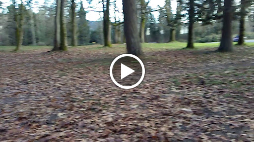 Golf Course «Riverside Disc Golf Course», reviews and photos, 7926 Riverside Rd E, Sumner, WA 98390, USA