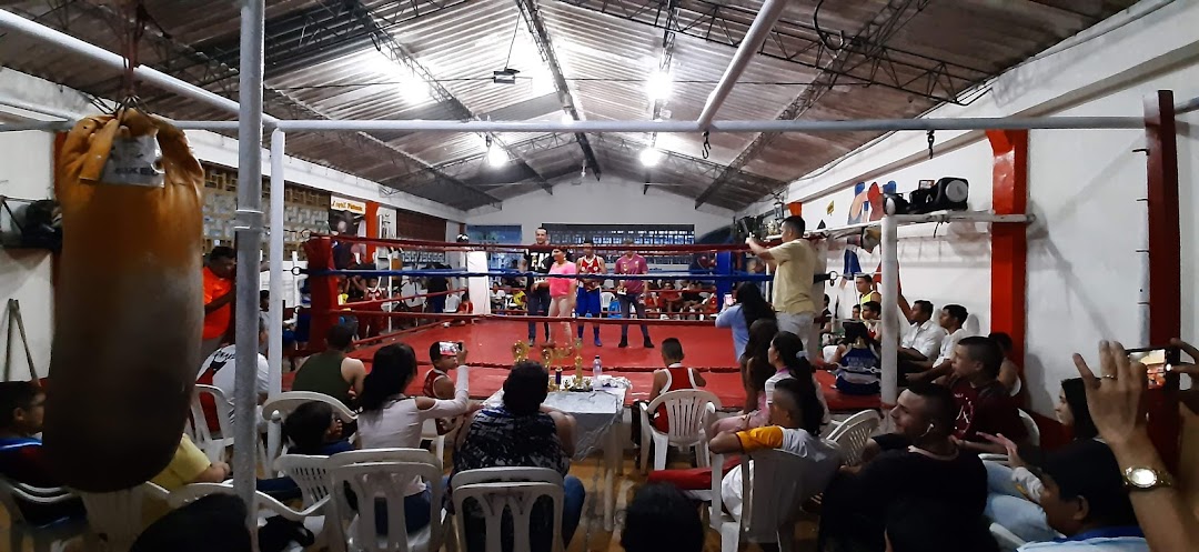 Liga De Boxeo Del Tolima