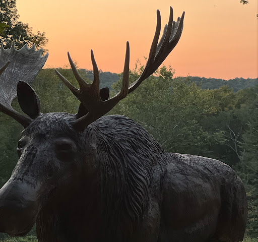 Photo of Saw To Life