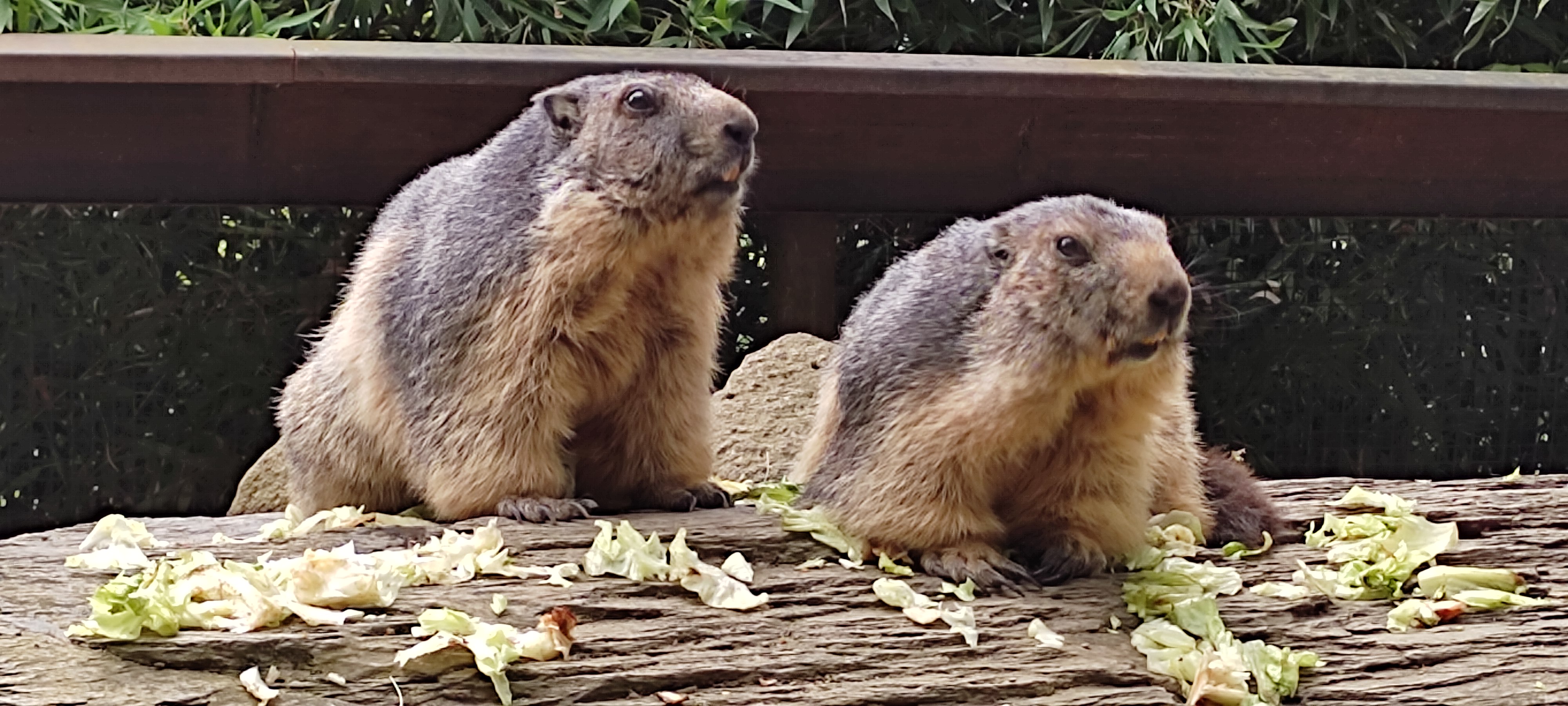 Photo n° 3 de l'avis de Jean-Michel.o fait le 02/08/2022 à 16:15