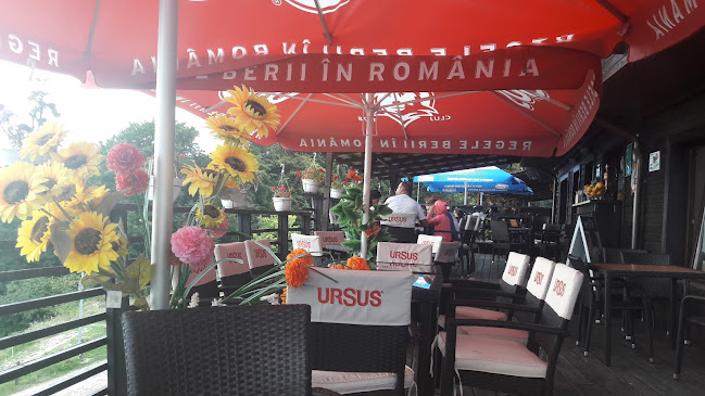 Comentarii opinii despre Restaurant Popasul Haiducilor