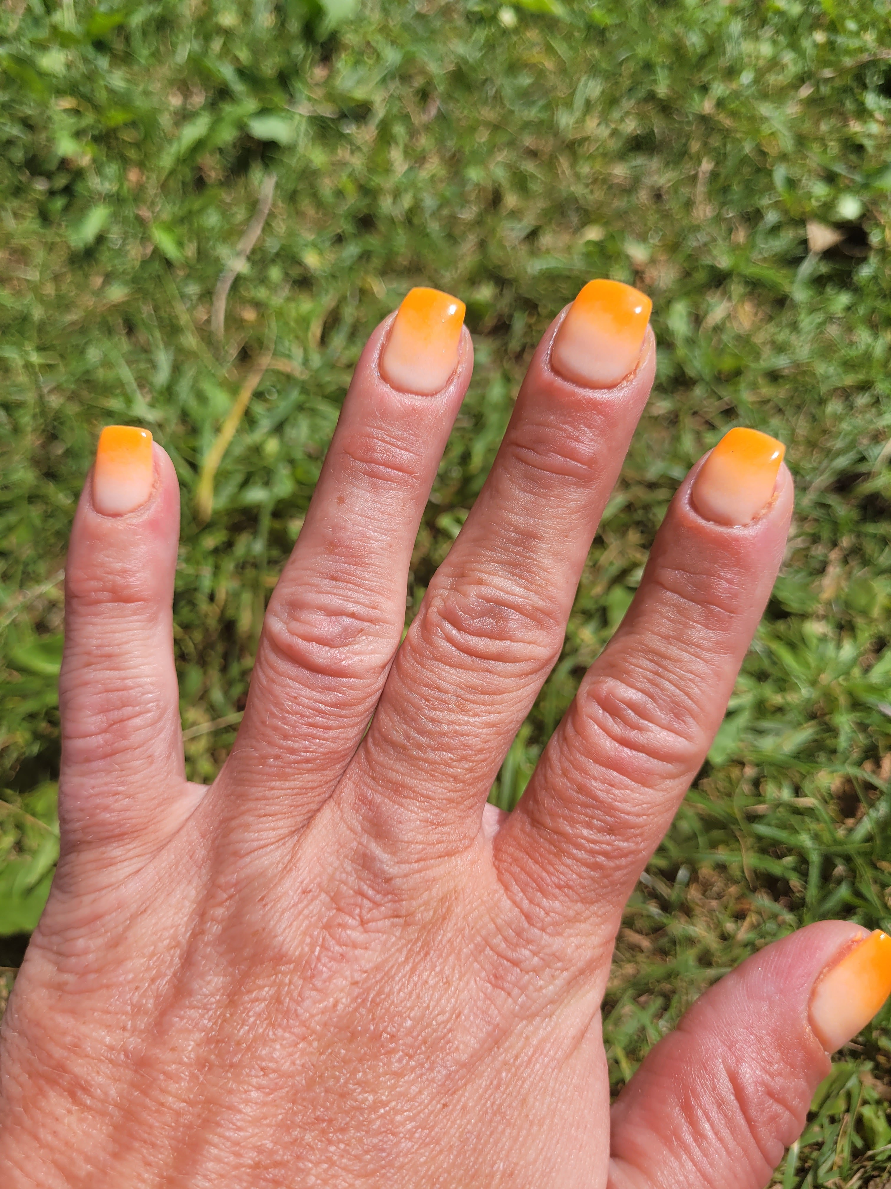 Photo n° 1 de l'avis de Estelle.a fait le 13/07/2023 à 16:18