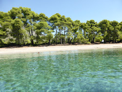 Foto de Gregolimano beach - lugar popular entre os apreciadores de relaxamento