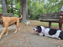 Take A Paws L.l.c - Photo 4 - Car repair in Fayetteville, NC, Fayetteville