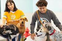 Dogtopia of South Ann Arbor - Photo 2 - Car repair in Ypsilanti, MI, Ann Arbor